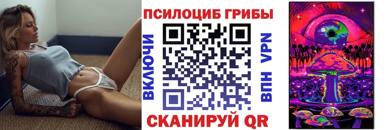 цены наркотик  Курск  Галлюциногенные грибы Psilocybe 